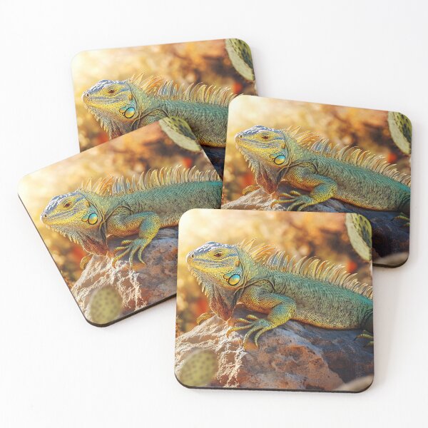 Item preview, Iguana on rock at sunrise - Nature photo designed and sold by TheArtistOf2022.