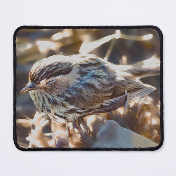 Item preview, Brown Bird designed and sold by Amy Houston.