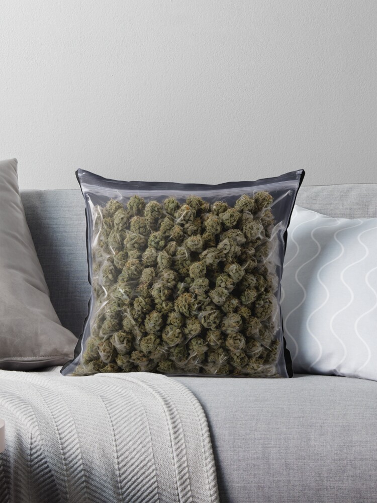 Novelty Pillow Pillow