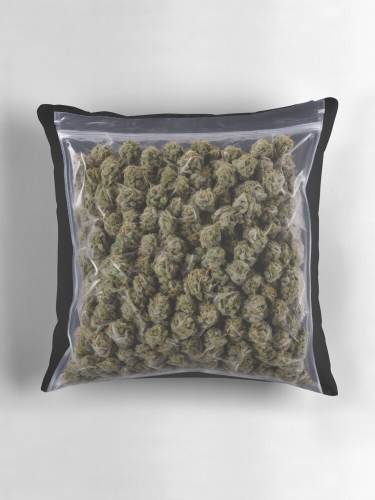 Novelty Pillow Pillow