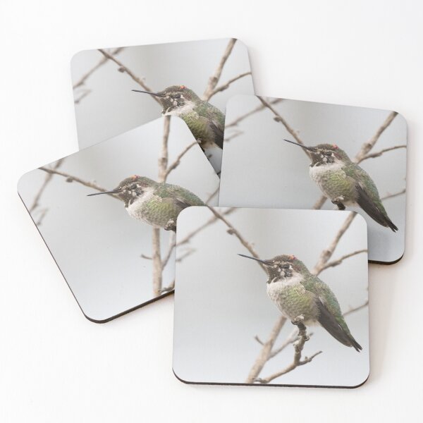 Item preview, Anna's Hummingbird designed and sold by LaurenTucker.