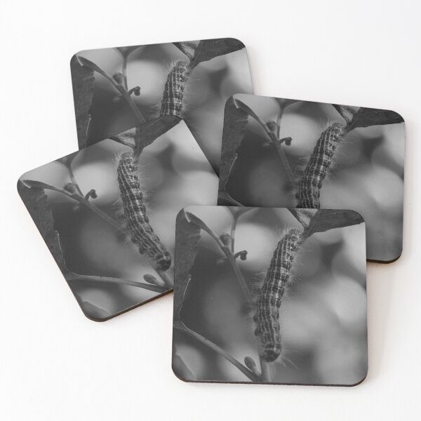 Item preview, Caterpillar of the Buff Tip Moth Vertical Black and White designed and sold by eddiebarronshop.