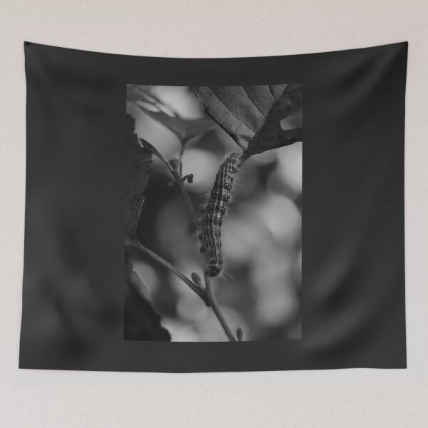 Item preview, Caterpillar of the Buff Tip Moth Vertical Black and White designed and sold by eddiebarronshop.