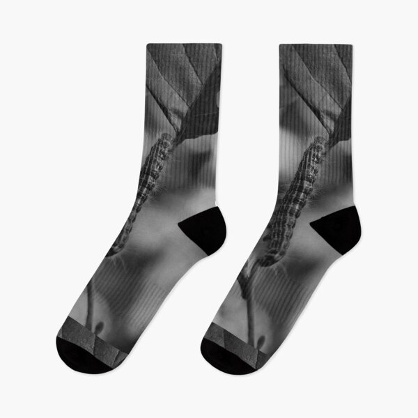 Item preview, Caterpillar of the Buff Tip Moth Vertical Black and White designed and sold by eddiebarronshop.
