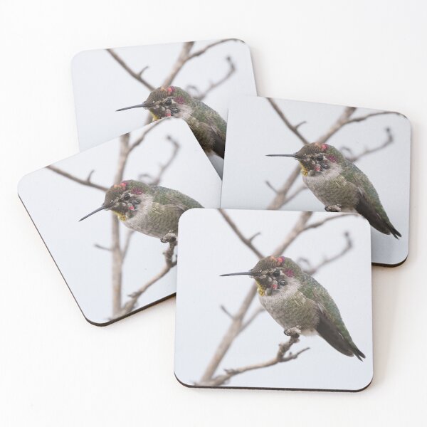 Item preview, Anna's Hummingbird designed and sold by LaurenTucker.