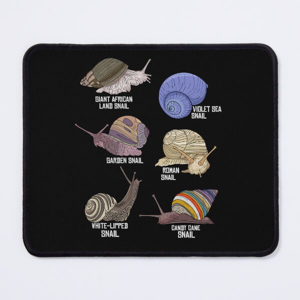 Item preview, Snail Species Illustration Biology Snail Species Snails designed and sold by DSWShirts.