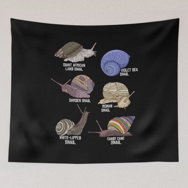 Item preview, Snail Species Illustration Biology Snail Species Snails designed and sold by DSWShirts.