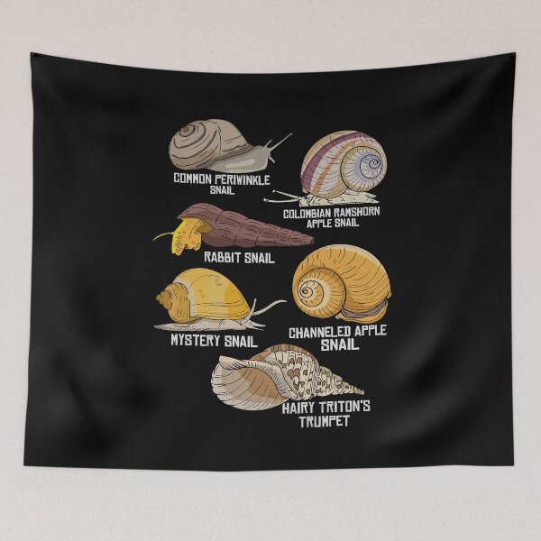 Item preview, Water Snail Species Illustration Biology Water Snails designed and sold by DSWShirts.