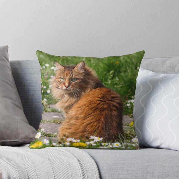 Item preview, Fluffy cat designed and sold by GreyFeatherPhot.