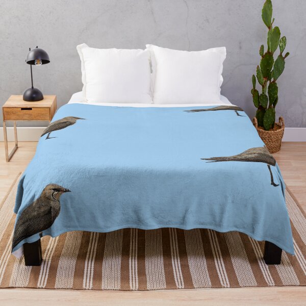 Item preview, Black-winged Pratincole Color Design designed and sold by designsasstultd.