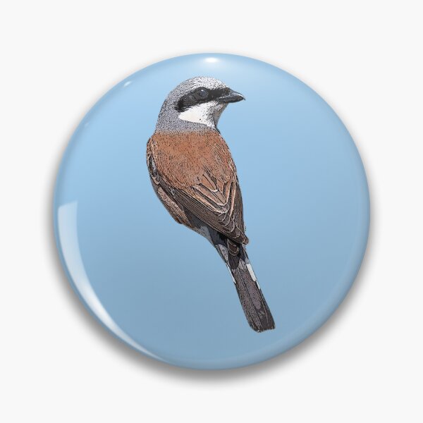 Item preview, Red-backed Shrike Color Design  designed and sold by designsasstultd.