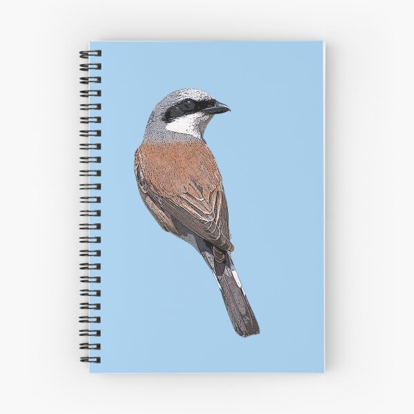 Item preview, Red-backed Shrike Color Design  designed and sold by designsasstultd.