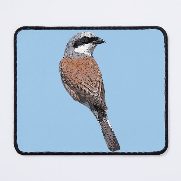 Item preview, Red-backed Shrike Color Design  designed and sold by designsasstultd.