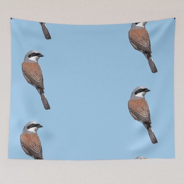 Item preview, Red-backed Shrike Color Design  designed and sold by designsasstultd.