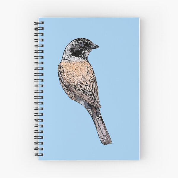 Item preview, Red-backed Shrike Black Alternate Design  designed and sold by designsasstultd.