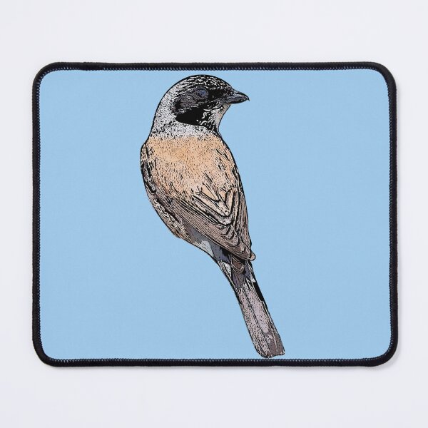 Item preview, Red-backed Shrike Black Alternate Design designed and sold by designsasstultd.