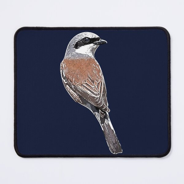 Item preview, Red-backed Shrike White Alternate Design  designed and sold by designsasstultd.