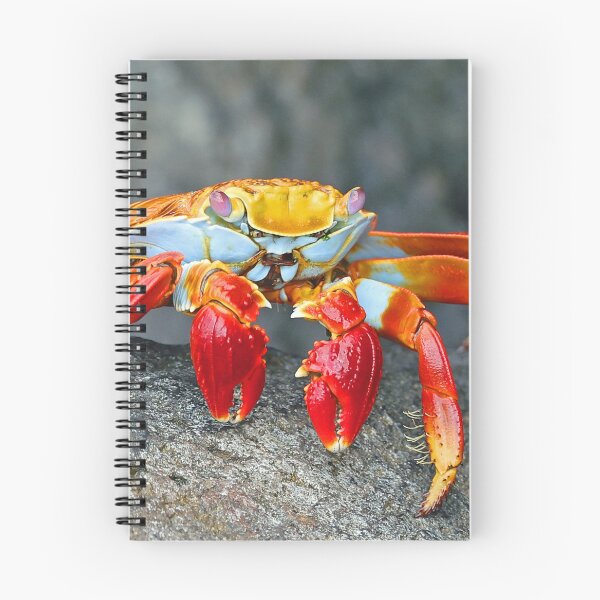 Item preview, Red Crab 2 designed and sold by Anthony Goldman.