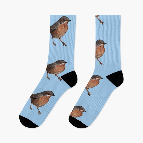 Item preview, Western Subalpine Warbler Color Design  designed and sold by designsasstultd.