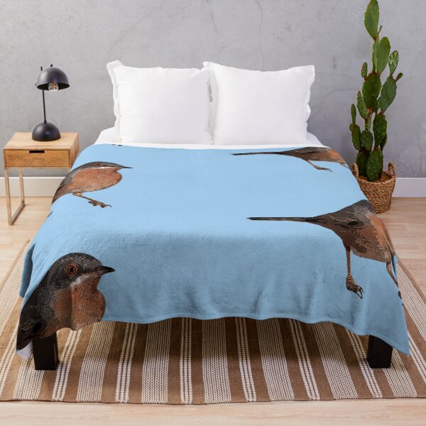 Item preview, Western Subalpine Warbler Color Design designed and sold by designsasstultd.