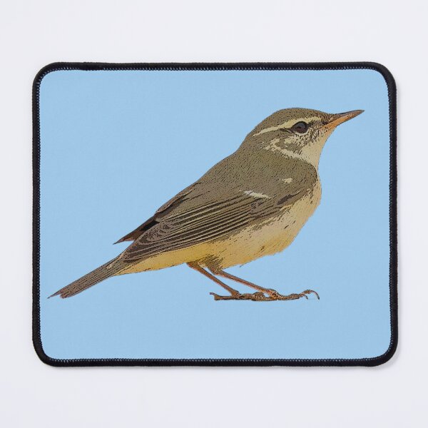 Item preview, Arctic Warbler Color Design  designed and sold by designsasstultd.