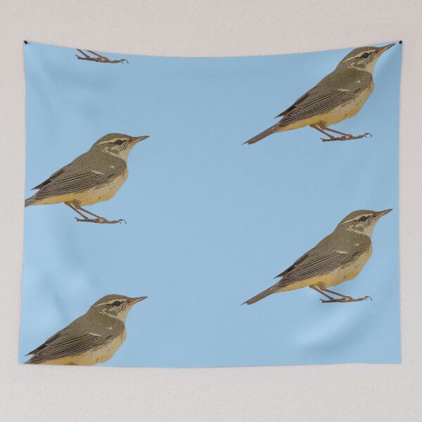Item preview, Arctic Warbler Color Design  designed and sold by designsasstultd.