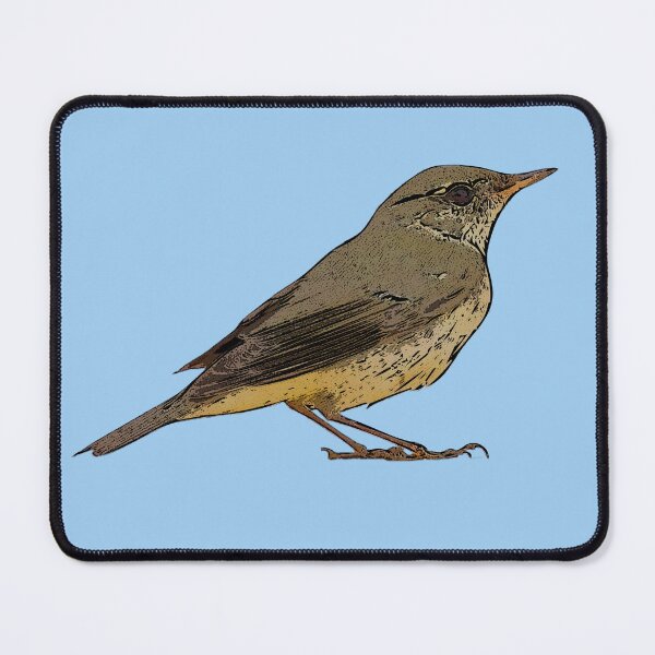 Item preview, Arctic Warbler Black Alternate Design  designed and sold by designsasstultd.