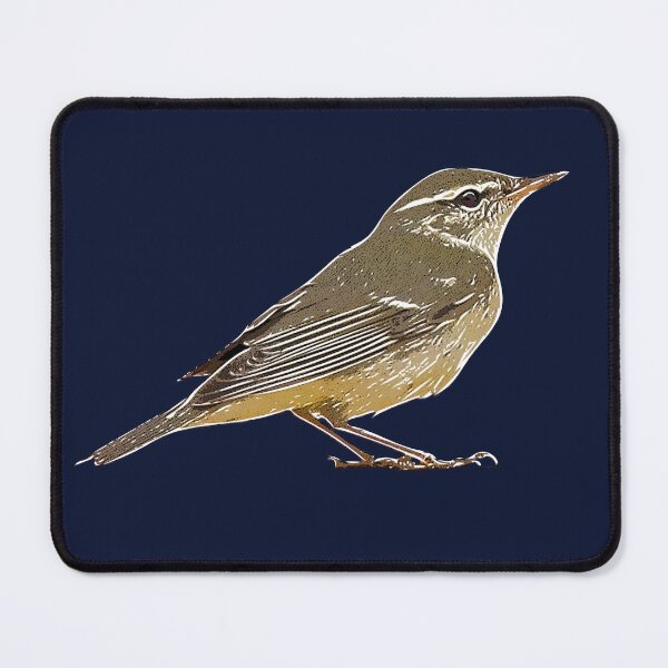 Item preview, Arctic Warbler White Alternate Design  designed and sold by designsasstultd.