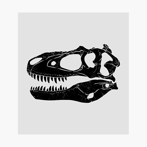 Artikel-Vorschau von Albertosaurus Schädel Fossil, designt und verkauft von NicGrayGraphic.