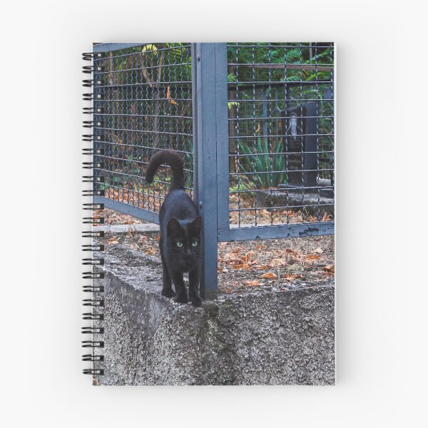 Item preview, Black cat designed and sold by Photos2go4.
