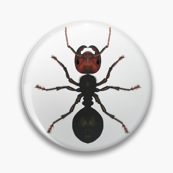 Item preview, BLACK ANT designed and sold by joancaronil.