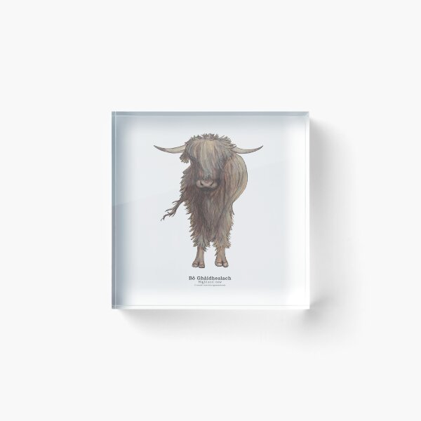 Item preview, Highland cow Bò Ghàidhealach in Scottish Gaelic designed and sold by Mamaidh Made.