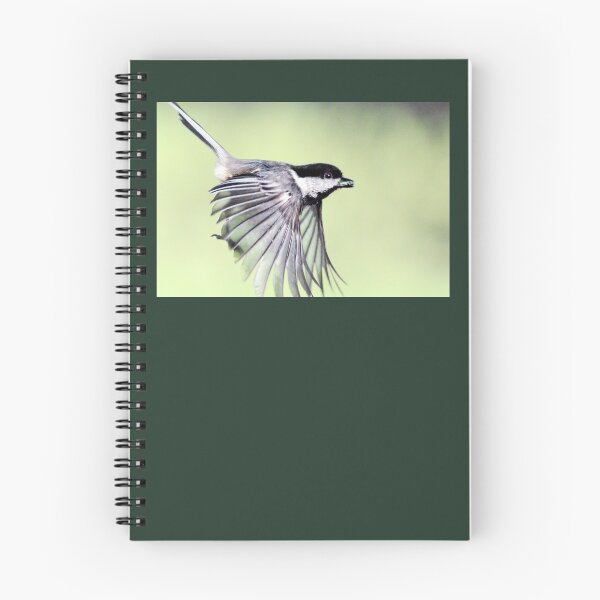 Item preview, Fly By designed and sold by Laurie Minor.