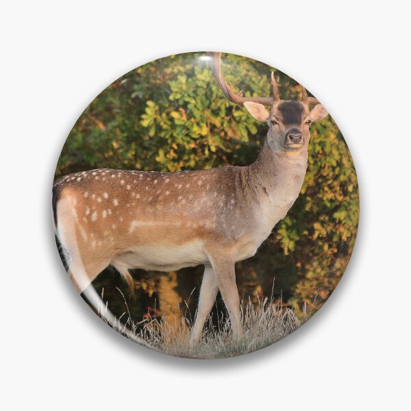 Item preview, Fallow Deer designed and sold by Vanja Rosenthal.