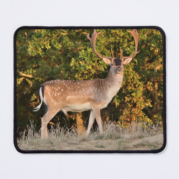 Item preview, Fallow Deer designed and sold by Vanja Rosenthal.