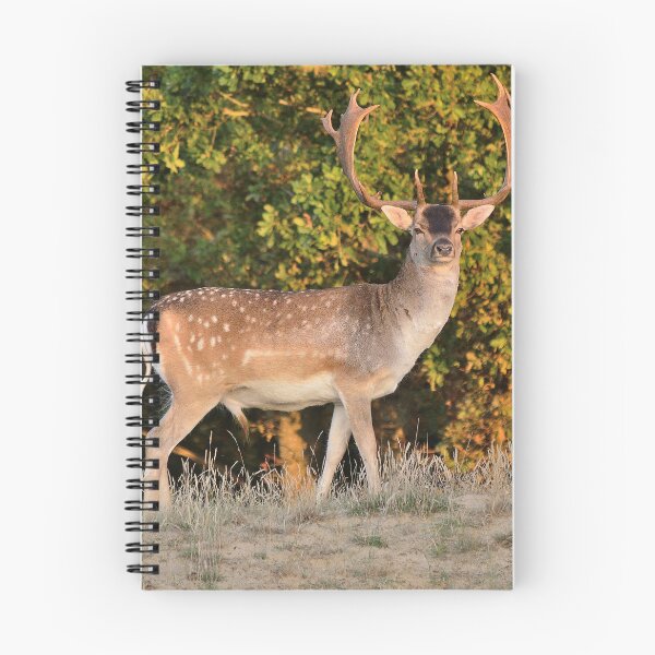 Item preview, Fallow Deer designed and sold by Vanja Rosenthal.