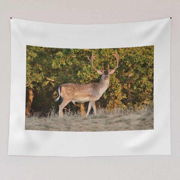 Item preview, Fallow Deer designed and sold by Vanja Rosenthal.