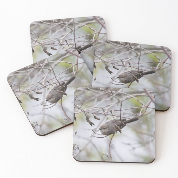 Item preview, Bushtit designed and sold by LaurenTucker.