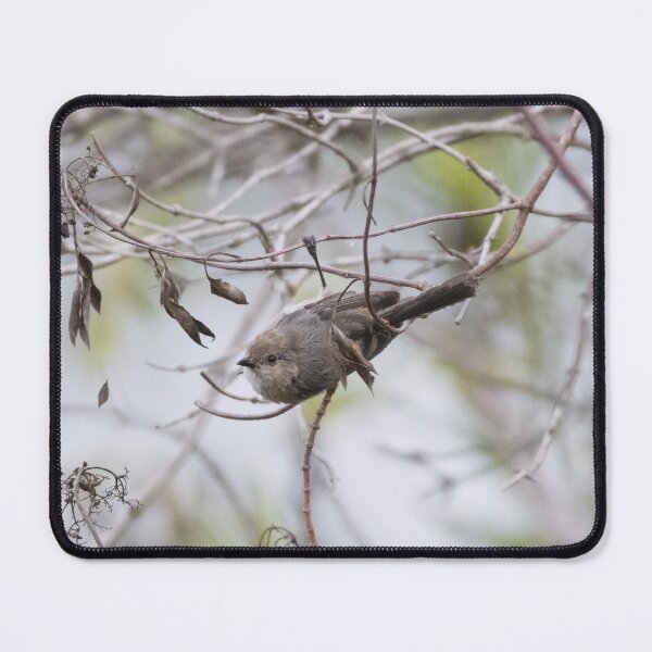 Item preview, Bushtit designed and sold by LaurenTucker.