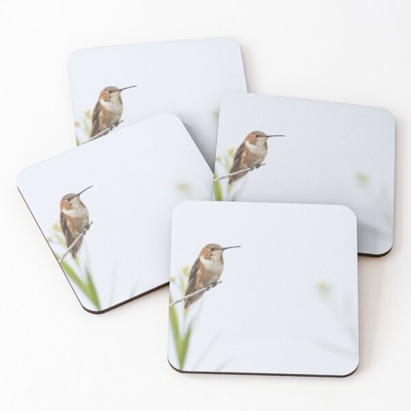 Item preview, Allen's Hummingbird designed and sold by LaurenTucker.