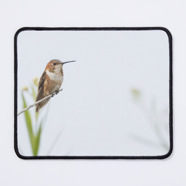 Item preview, Allen's Hummingbird designed and sold by LaurenTucker.