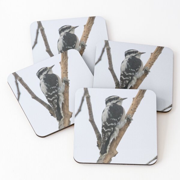 Item preview, Downy Woodpecker designed and sold by LaurenTucker.