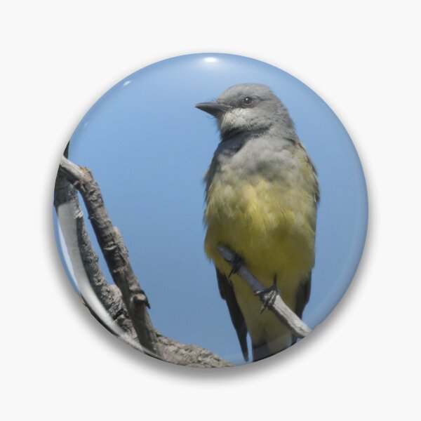 Item preview, Cassin's Kingbird designed and sold by LaurenTucker.