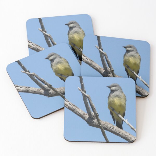 Item preview, Cassin's Kingbird designed and sold by LaurenTucker.