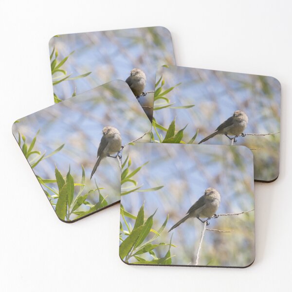 Item preview, Bushtit designed and sold by LaurenTucker.