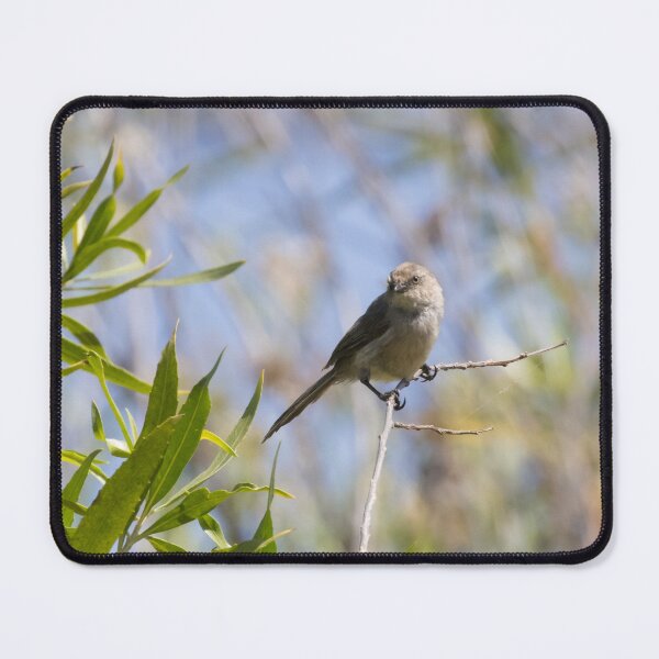 Item preview, Bushtit designed and sold by LaurenTucker.