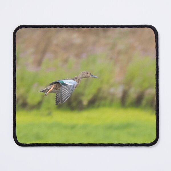 Item preview, Cinnamon Teal designed and sold by LaurenTucker.