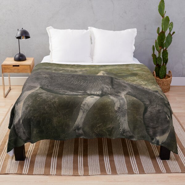 Item preview, Donkey Countryside Wildlife Rural Farm Animal designed and sold by SoulscapeStudio.