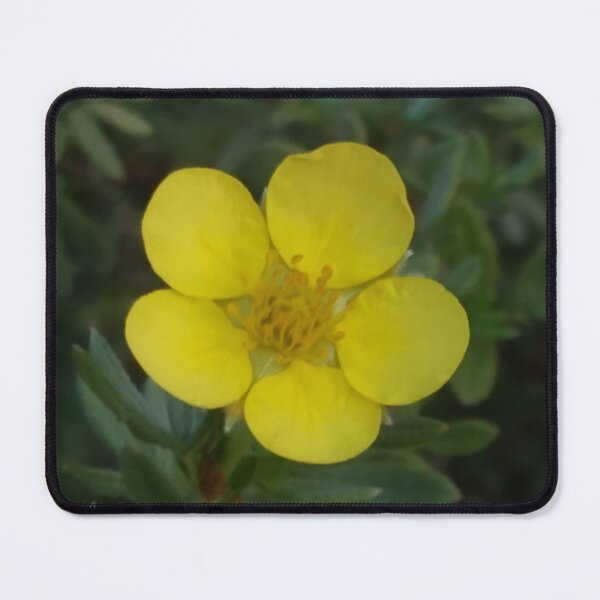 Item preview, In my garden designed and sold by mikistudio.