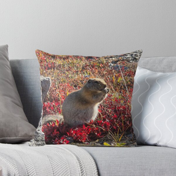 Item preview, Artic Ground Squirrel designed and sold by Amanda Huggins.